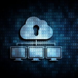 Elastic Cloud Server (ECS):