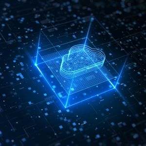 Elastic Cloud Server (ECS):